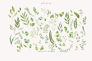 Line Art & Watercolour Greenery, an Illustration by January Bloom (Thumbnail 19 of 22)