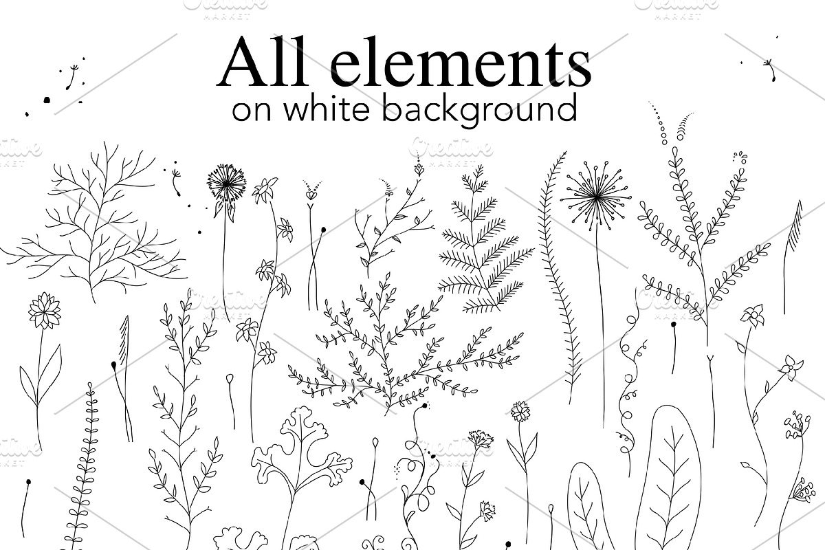 Set of wild flowers, an Object Graphic by Red_cat (Photo 2 of 8)