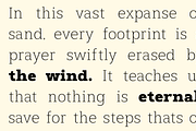 Furonto - Slab Serif Typeface, a Slab Serif Font by Mytype Studio (Thumbnail 9 of 13)