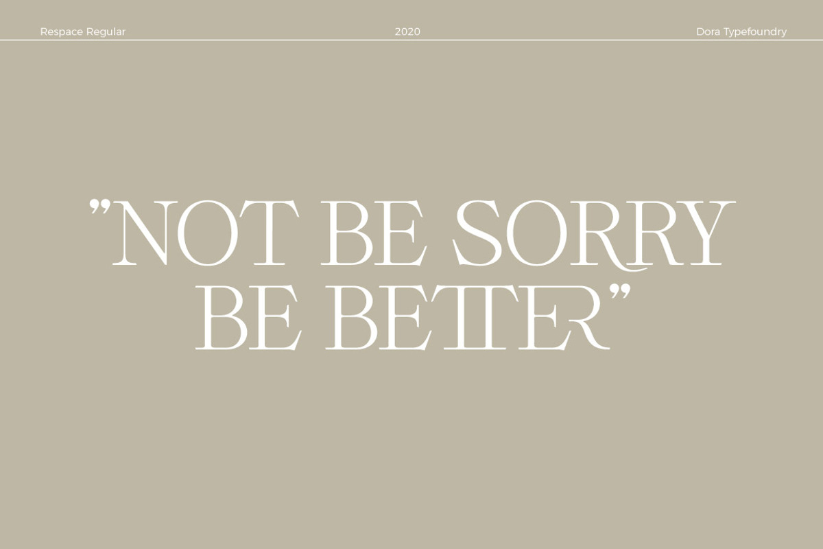 Respace, a Serif Font by Dora Typefoundry (Photo 15 of 21)