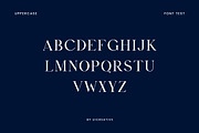 Undergrow Elegant Serif Font, a Serif Font by UICreative (Thumbnail 9 of 13)