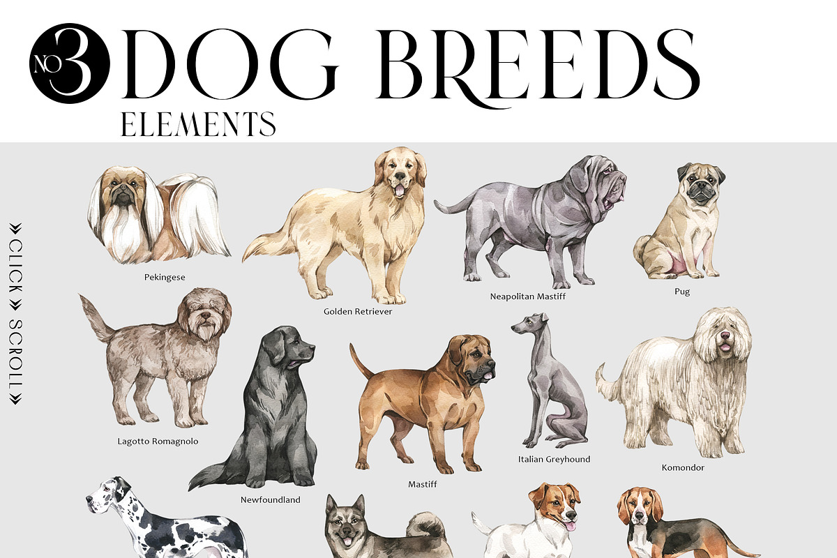 DOG BREEDS Encyclopedia, an Animal Illustration by Anastezia Luneva (Photo 4 of 13)