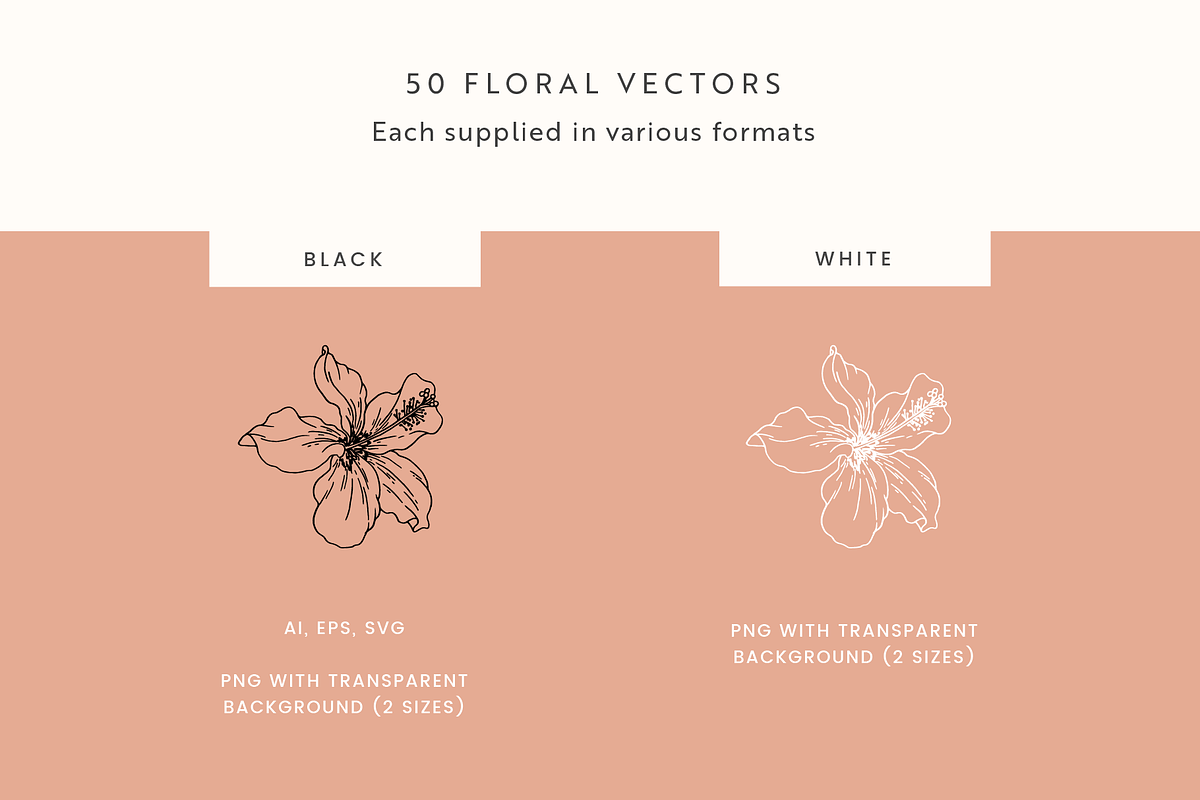 Flower Garden Vector Illustrations, a Decorative Illustration by Emma Webb Studio (Photo 4 of 8)