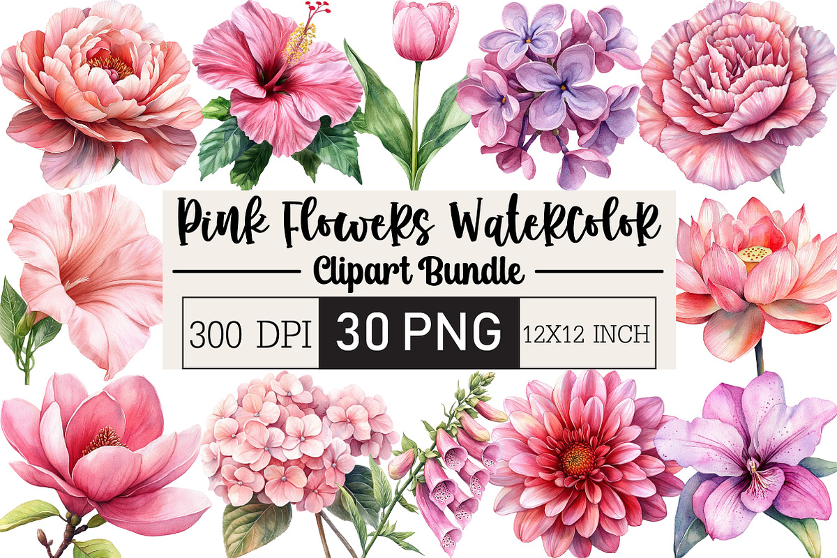 Pink Flowers Watercolor Clipart, an Illustration by Black Bird Studio (Photo 1 of 6)