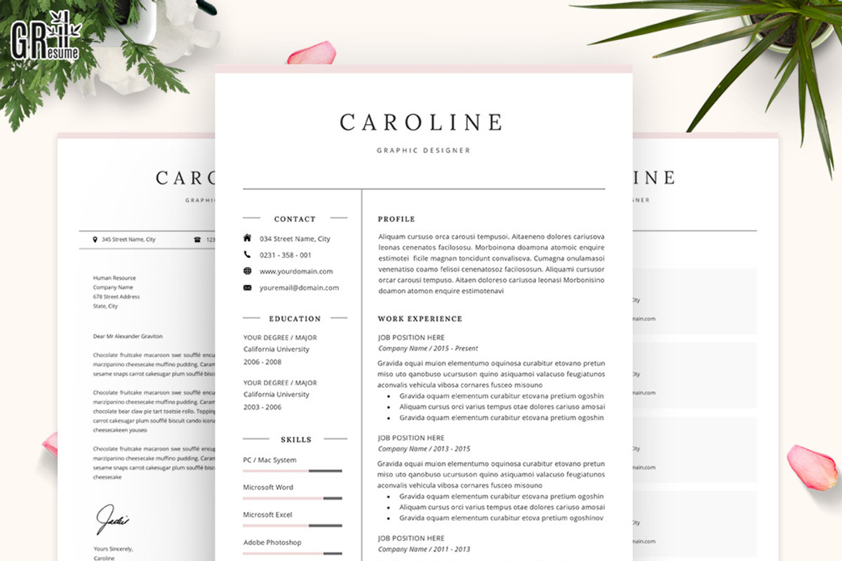 Professional Resume/CV Template, a Resume Template by GResume (Photo 2 of 9)