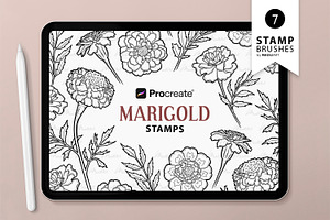 Marigold Flower Procreate Stamps