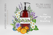 Herbal Apothecary Brand Kit, a Healthcare Illustration by AnitaPol (Thumbnail 7 of 18)