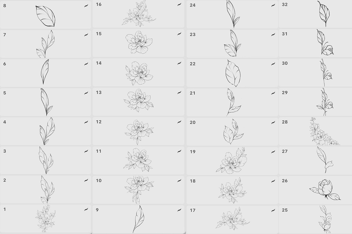 Procreate flower stamp, peony brush, a Brush Add-On by AnnaPolitmerskaja (Photo 5 of 5)