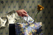 Watercolor Romantic Flower Patterns, a Pattern Graphic by Oksana Dovhopol Art (Thumbnail 2 of 15)