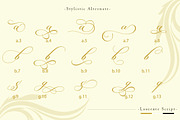 Laurente script, a Script Font by Slex Studio (Thumbnail 6 of 10)