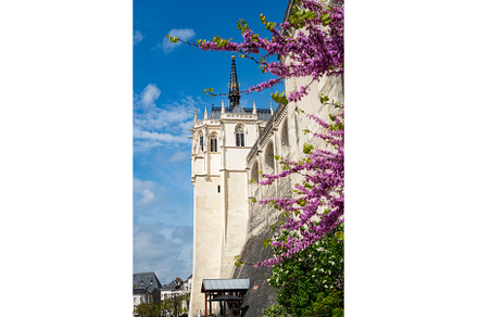 Chateau of Amboise during springtime