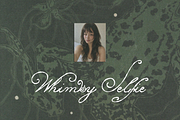 Lily of Sorrows - Spencerian Script, a Script Font by Lilithcollageart (Thumbnail 3 of 8)