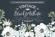 Vintage Black & White Florals, a Decorative Illustration by Lisa Glanz (Thumbnail 1 of 5)