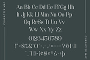 Megha - Elegant Serif Font, a Serif Font by Aqeel_Art (Thumbnail 10 of 12)