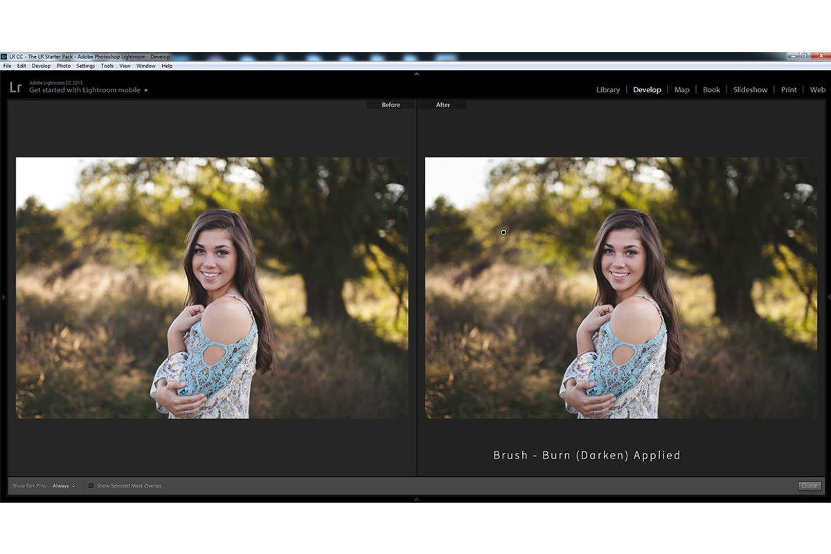 Essential Lightroom Brush Presets preview 5