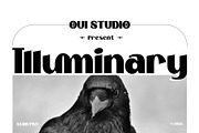 Illuminary Modern Sans Serif, a Sans Serif Font by Oui Studio (Thumbnail 1 of 10)