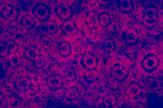 Procreate Tie-Dye Brushes Vol 2, a Brush Add-On by The Gypsy Goddess (Thumbnail 7 of 8)