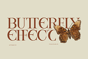 Louise - Elegant Ligatures Serif, a Serif Font by Fortunes Co (Thumbnail 11 of 14)