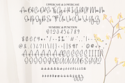 Baby Anything | Script Font, a Handwritten Font by Scratchones (Thumbnail 7 of 8)