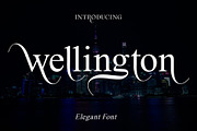 wellington, a Sans Serif Font by edcreative (Thumbnail 1 of 5)