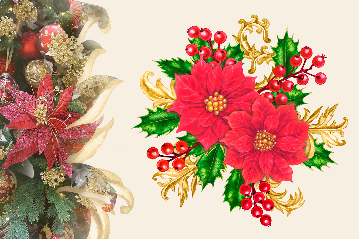 Red Poinsettia, Christmas watercolor, an Illustration by EL_SUHOVA (Photo 4 of 18)