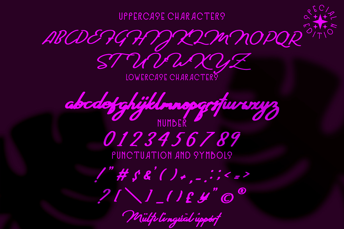 Shaa Shaa - Script style font, a Script Font by mahstudios (Photo 6 of 8)