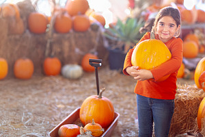 Young Girl at A Pumpkin Patch, a Holiday Photo by Andy Dean Photography