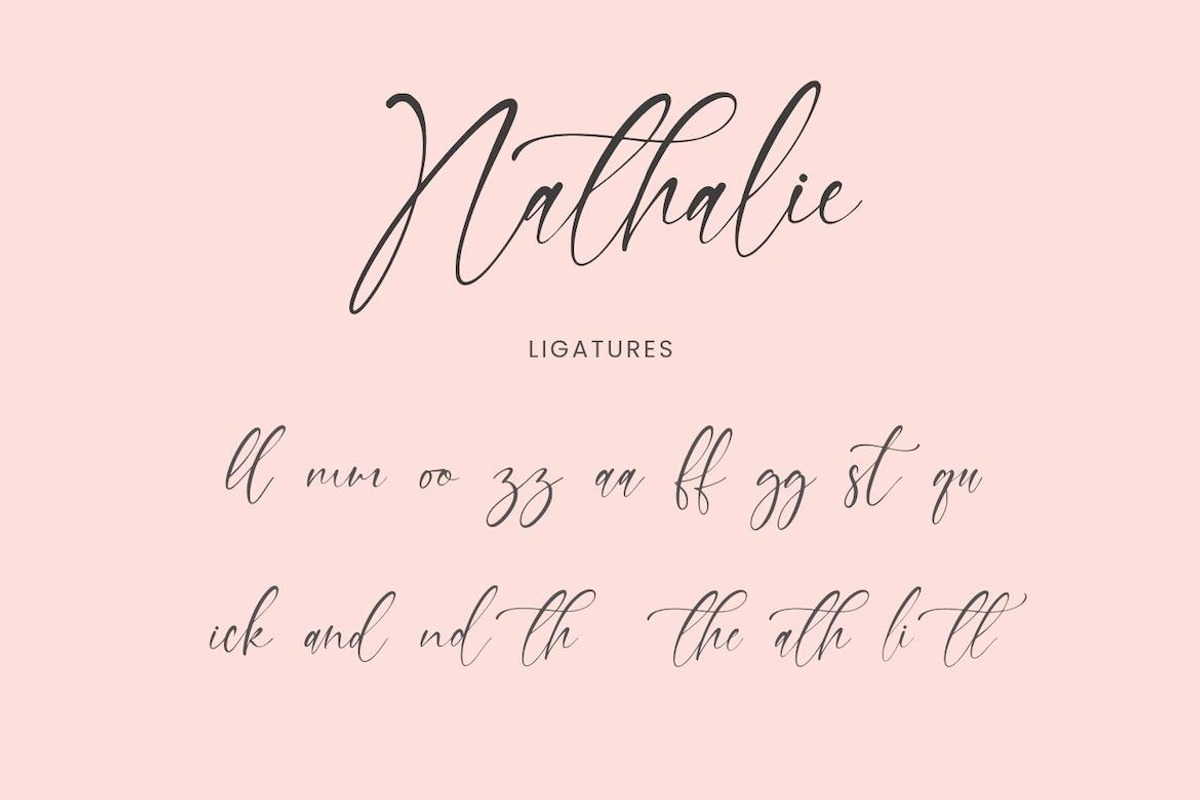 Nathalie Handwriting Script Signatur, a Handwritten Font by CreateBigSupply (Photo 7 of 10)