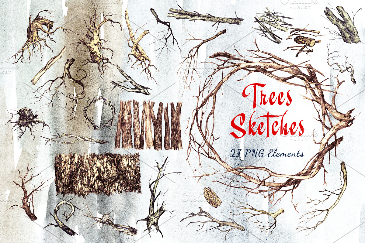 Trees Sketches, an Illustration by Nadiia Hanina (Photo 2 of 5)
