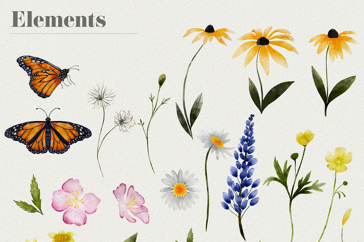 California Wildflowers, a Pattern Graphic by The Audacious Brush (Photo 2 of 9)