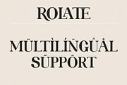 ROLATE Ligature Serif Typeface, a Serif Font by Alfinart (Thumbnail 10 of 10)