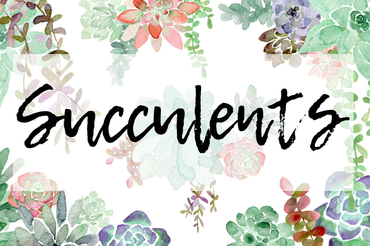 Watercolor Succulents, an Illustration by MariePierLaf (Photo 1 of 3)