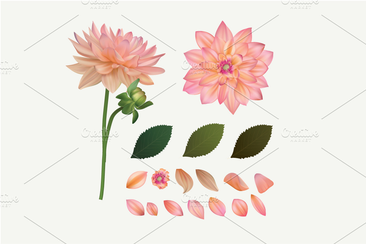 Vector mesh flower preview 5
