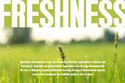 Ataria - Modern Condensed Sans, a Sans Serif Font by TypeLogue (Thumbnail 3 of 5)