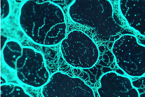 Infected molecule by unidentified, an Illustration by Sergey Kotenev