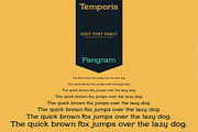Temporis - Serif Font Family, a Serif Font by Artistic & Unique (Thumbnail 12 of 13)