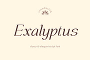 Exalyptus - Elegant Script Font, a Script Font by Pikgura (Thumbnail 1 of 7)