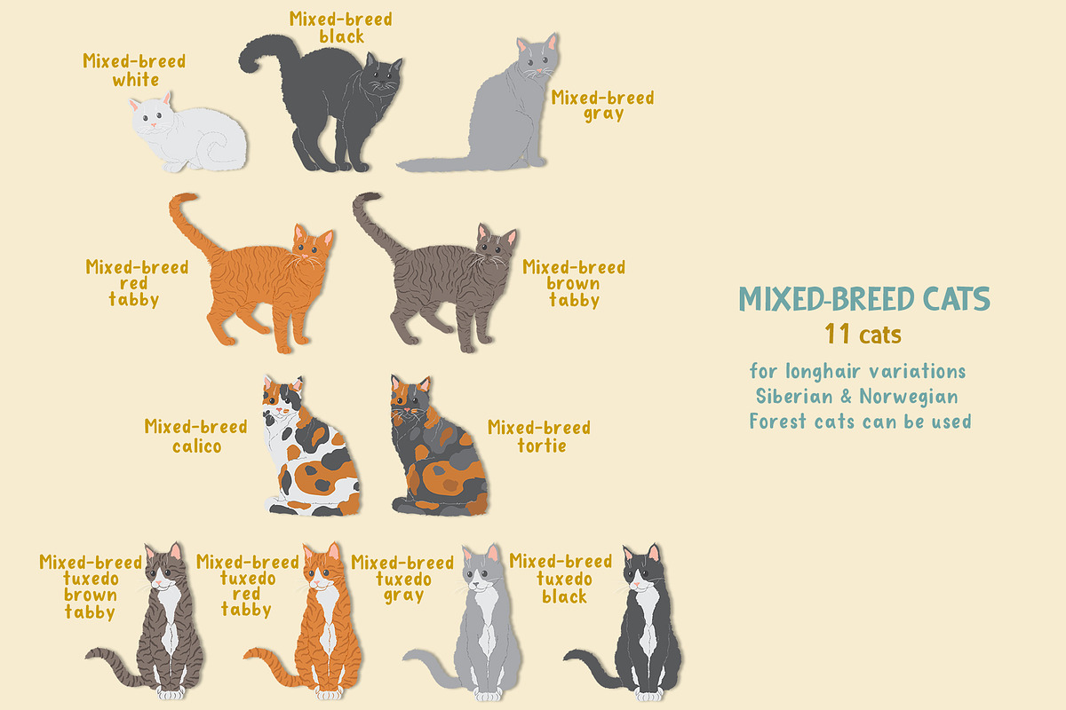 Cat breeds vector clipart, an Object Graphic by Trinibis (Photo 4 of 11)