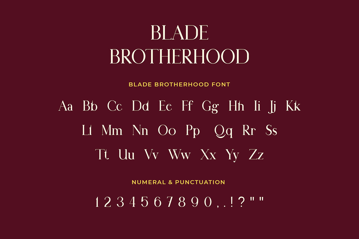 Blade Brotherhood Classic Serif Font, a Serif Font by UICreative (Photo 2 of 5)