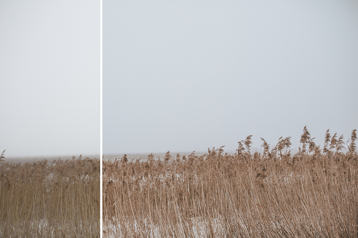 Foggy fields- 6 presets for Lr, an Action Add-On by Graphics, Presets, Photos (Photo 4 of 7)