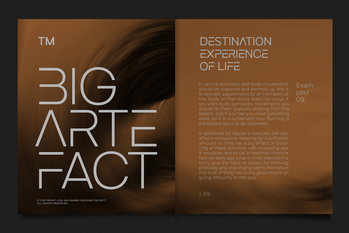 HAFUNTEN, a Sans Serif Font by OWL KING (Photo 2 of 8)