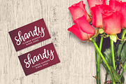 Blitanos - Handwritten, a Script Font by Youngtype.Std (Thumbnail 6 of 10)