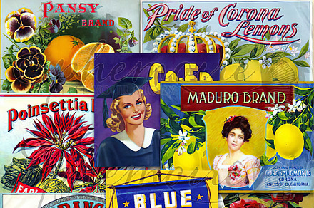 Vintage Fruit Crate Labels - 8 PNGs