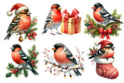 Christmas Grosbeak Birds Clipart, an Illustration by Designworld (Thumbnail 5 of 6)