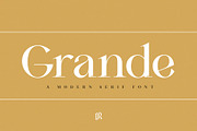 The Modern Typography Bundle, a Serif Font by Ivan Rosenberg (Thumbnail 22 of 58)