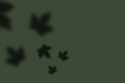Autumn Shadows +Bonus Spooky Shadows, an Object Graphic by Jessica Fadel Design (Thumbnail 9 of 18)