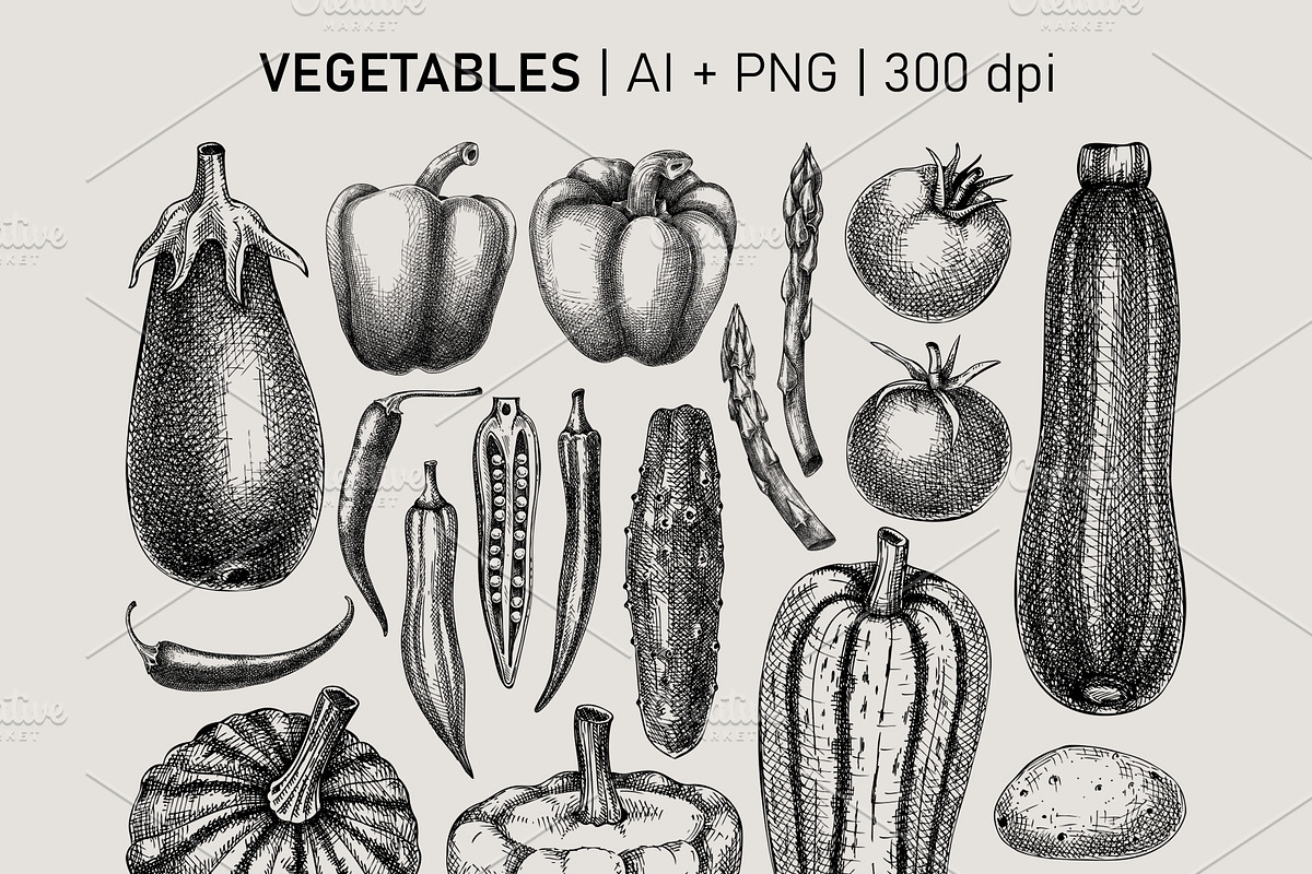 Vegetables & Herbs Vector Sketches., an Object Graphic by Yevheniia (Photo 4 of 11)