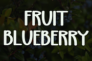 Blueberry, a Handwritten Font by FreshTypeINK (Thumbnail 6 of 8)