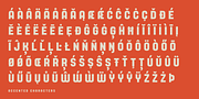 Yoshida Sans, a Sans Serif Font by TypeUnion (Thumbnail 7 of 10)