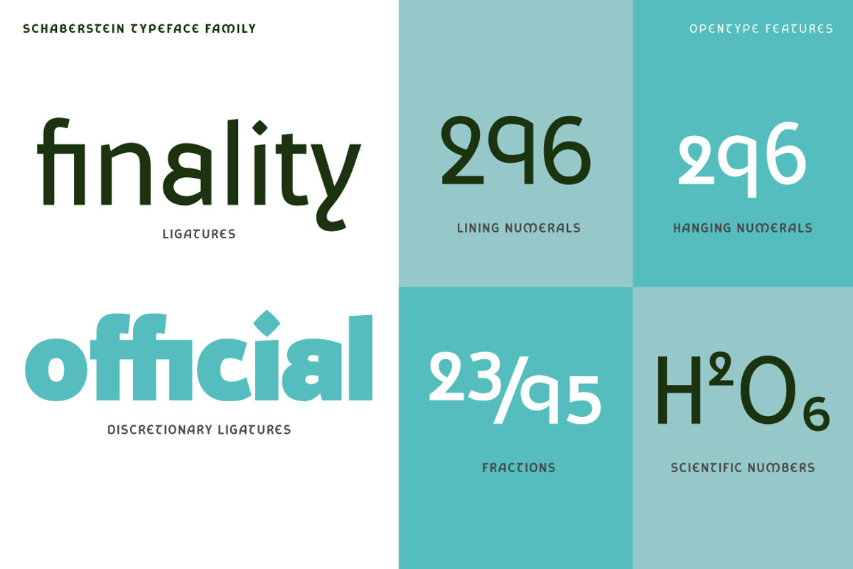 Schaberstein, a Sans Serif Font by Typogama (Photo 8 of 13)